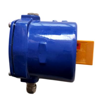 XSA-V11801速度傳感結構功能、XTD-PKS-RT智能